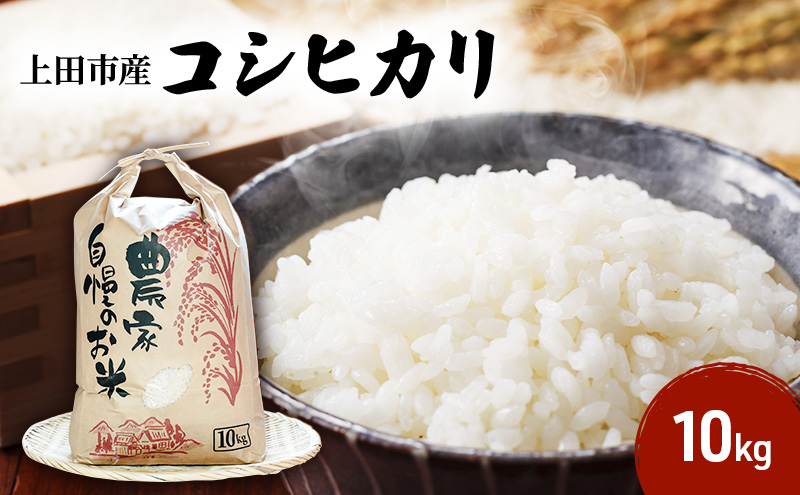 米 コシヒカリ 10kg お米 白米 精米 単一原料米 令和7年産 長野県産 長野 長野県 上田市