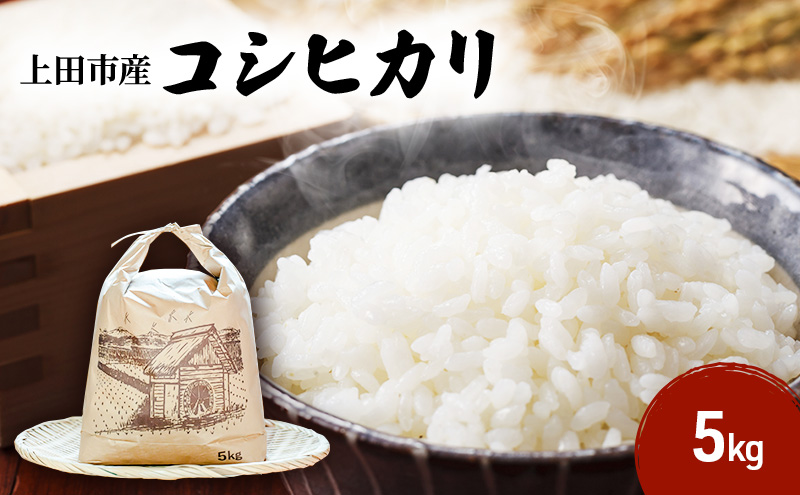 米 コシヒカリ 5kg お米 白米 精米 単一原料米 令和7年産 長野県産 長野 長野県 上田市