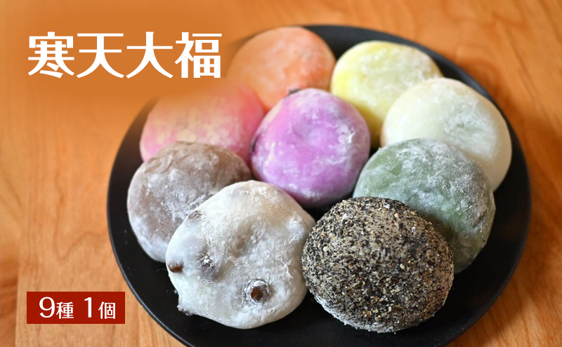 【TVで紹介されました】寒天大福9種1個 詰め合わせ キメが細かくなめらかな食感 寒天使用で食物繊維豊富・低カロリー 大福餅・和菓子セット 冷凍 長野名物 スイーツ おやつに