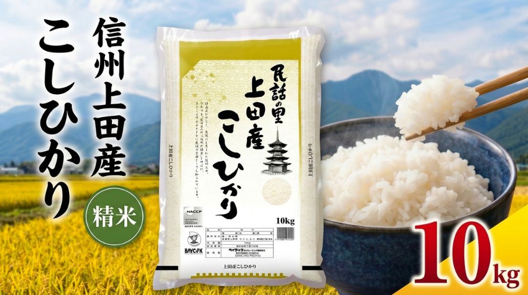 米 コシヒカリ 10kg お米 白米 精米 単一原料米 ブランド米 銘柄米 10キロ 令和7年産 長野県産 長野 長野県 上田市