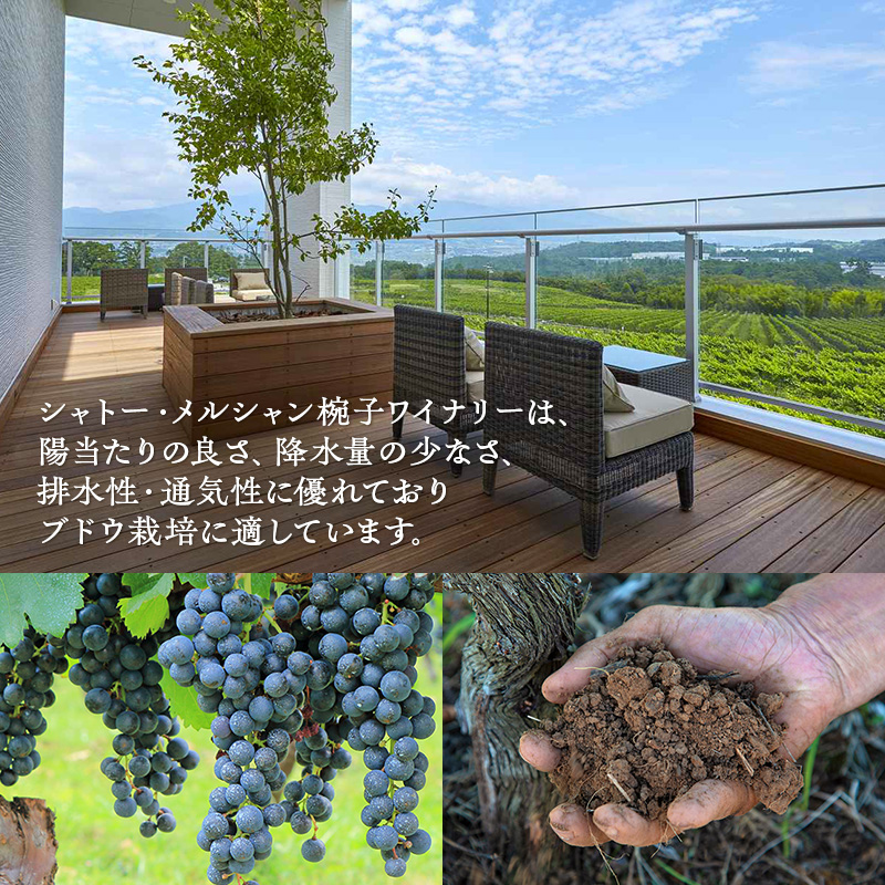 ワイン 椀子シャルドネ アンウッデッド 750ml 3本 シャトー・メルシャン シャルドネ 白ワイン 辛口 お酒 酒 アルコール ギフト 贈り物 プレゼント	