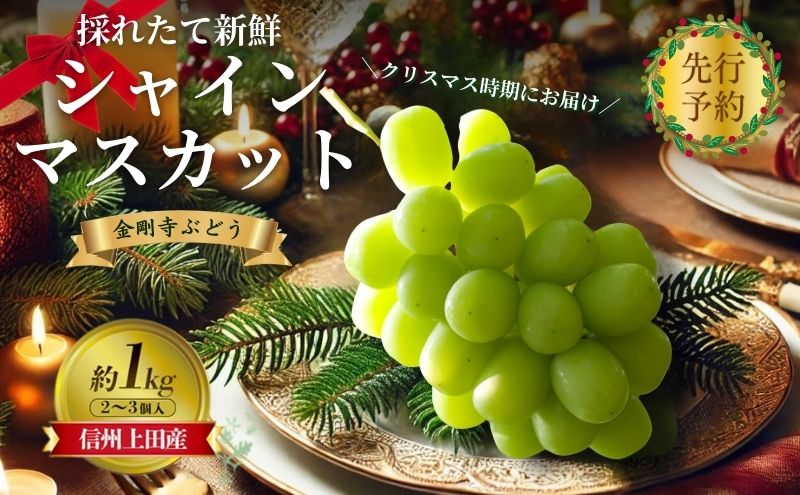 【2026年先行予約】クリスマスにお届け！ シャインマスカット 信州上田産金剛寺ぶどう 約1kg 2～3房 ぶどう 葡萄 ブドウ マスカット 1kg 果物 くだもの フルーツ デザート 旬の果物 旬のフルーツ 長野県 長野