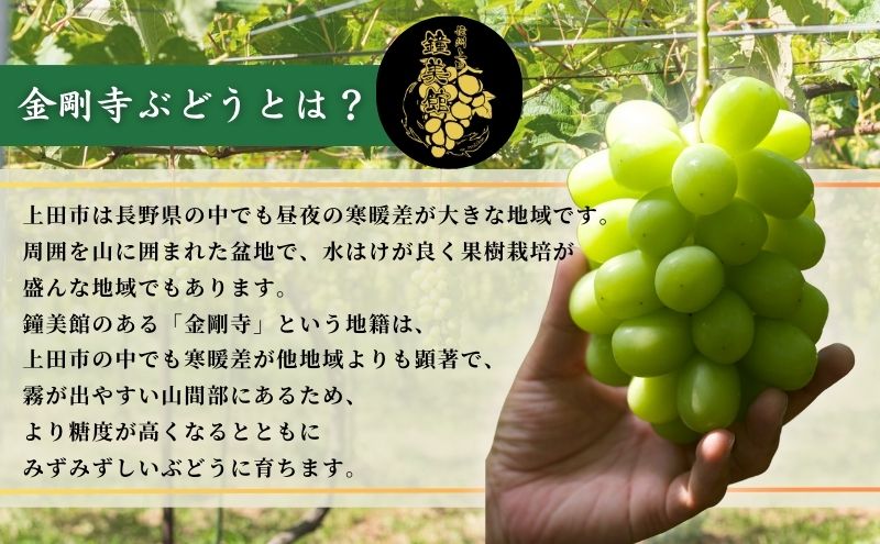 ã2026幎å
è¡äºçŽãã¯ãªã¹ãã¹ã«ãå±ãïŒ ã·ã£ã€ã³ãã¹ã«ãã ä¿¡å·äžç°ç£éå寺ã¶ã©ã çŽ2kg 4ïœ5æ¿ ã¶ã©ã è¡è ãã㊠ãã¹ã«ãã 2kg æç© ãã ãã® ãã«ãŒã ãã¶ãŒã æ¬ã®æç© æ¬ã®ãã«ãŒã é·éç