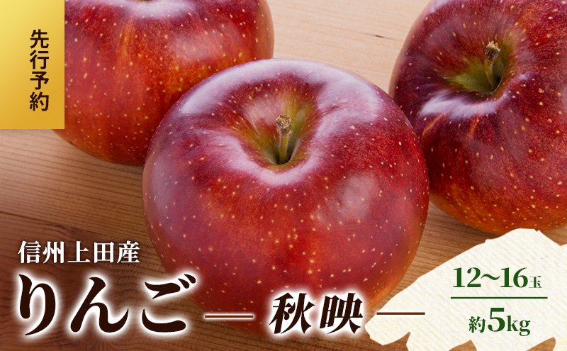りんご 信州上田産 秋映 家庭用 約5kg 12～16玉 リンゴ 林檎 5kg 果物 くだもの フルーツ デザート 旬の果物 旬のフルーツ 傷 長野県 長野 上田市