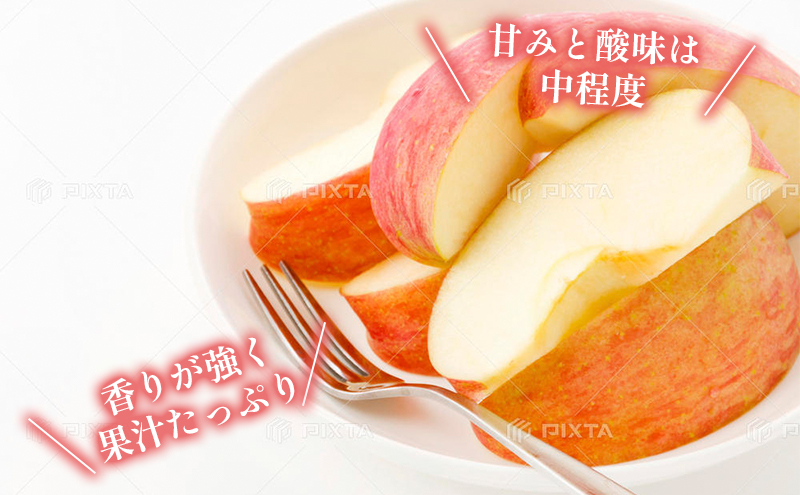 訳あり りんご JA信州うえだ 合戦りんご 秋映 約5kg（10玉～20玉） リンゴ 林檎 果物 くだもの フルーツ 信州 長野 離乳食 訳アリ わけあり 傷