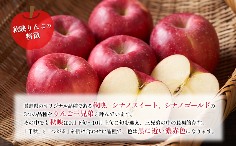 訳あり りんご JA信州うえだ 合戦りんご 秋映 約5kg（10玉～20玉） リンゴ 林檎 果物 くだもの フルーツ 信州 長野 離乳食 訳アリ わけあり 傷
