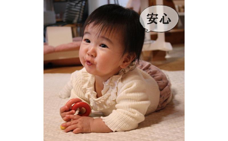 木のおもちゃ/四葉リング psc 知育玩具 誕生祝い 6ヶ月 7ヶ月 8ヶ月 9ヶ月 10ヶ月 1歳 1歳半 誕生日ギフト 出産祝い 男の子 女の子 木工職人手作り 木育 木製 