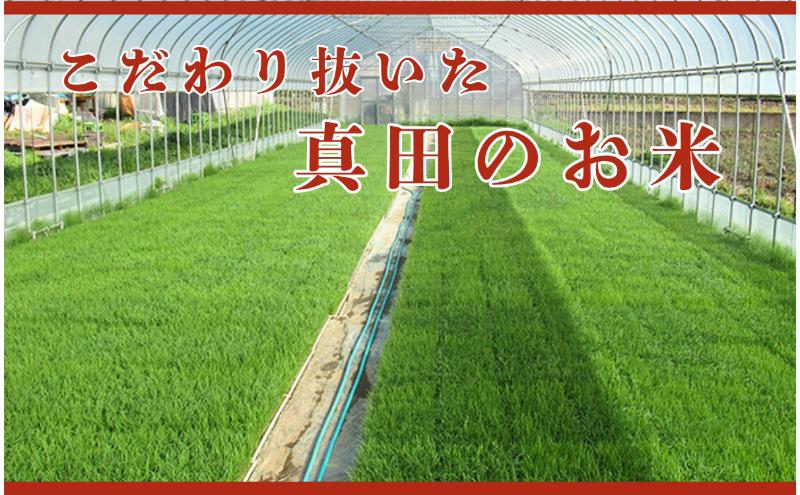 邀ウ 莉、蜥7蟷エ逕」 繧ウ繧キ繝偵き繝ェ 髢「蜿」縺輔s縺。縺ョ縺顔アウ 10kg 1蝗 蝗樊焚 縺顔アウ 邊セ邀ウ 逋ス邀ウ 繝悶Λ繝ウ繝臥アウ 縺秘」ッ