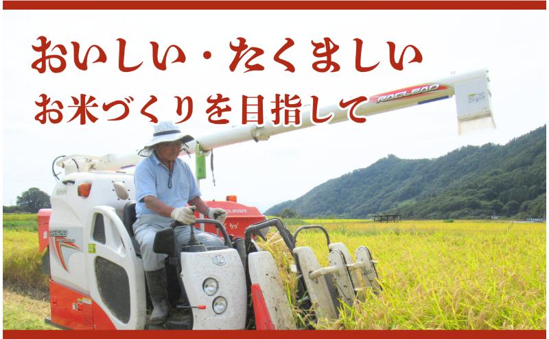 邀ウ 莉、蜥7蟷エ逕」 繧ウ繧キ繝偵き繝ェ 髢「蜿」縺輔s縺。縺ョ縺顔アウ 20kg 1蝗 蝗樊焚 縺顔アウ 邊セ邀ウ 逋ス邀ウ 繝悶Λ繝ウ繝臥アウ 縺秘」ッ