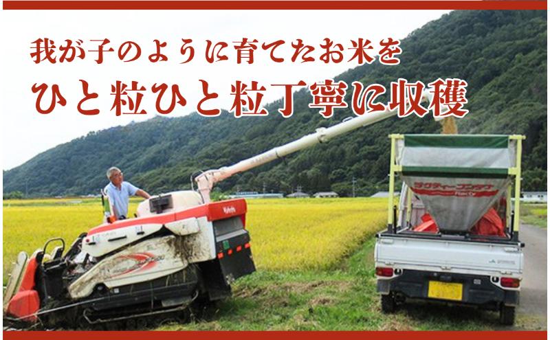 邀ウ 莉、蜥7蟷エ逕」 繧ウ繧キ繝偵き繝ェ 髢「蜿」縺輔s縺。縺ョ縺顔アウ 20kg 1蝗 蝗樊焚 縺顔アウ 邊セ邀ウ 逋ス邀ウ 繝悶Λ繝ウ繝臥アウ 縺秘」ッ