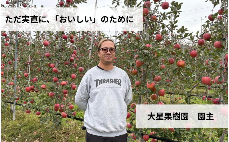 【2026年産・先行予約】サンふじ　10kg　りんご リンゴ 林檎 果物 フルーツ 長野