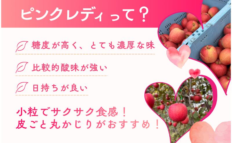 ピンクレディー(R)　5kg　りんご リンゴ 林檎 果物 フルーツ 長野