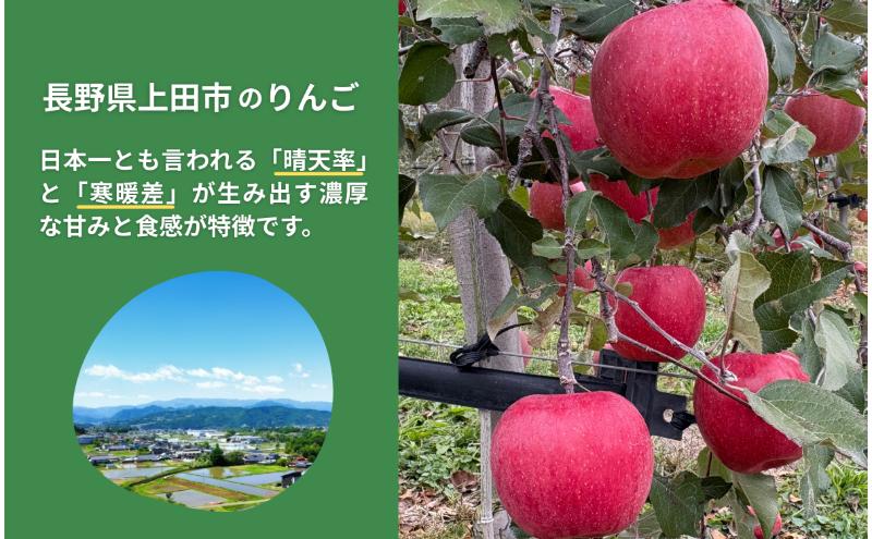 シナノゴールド　5kg　りんご リンゴ 林檎 果物 フルーツ 長野