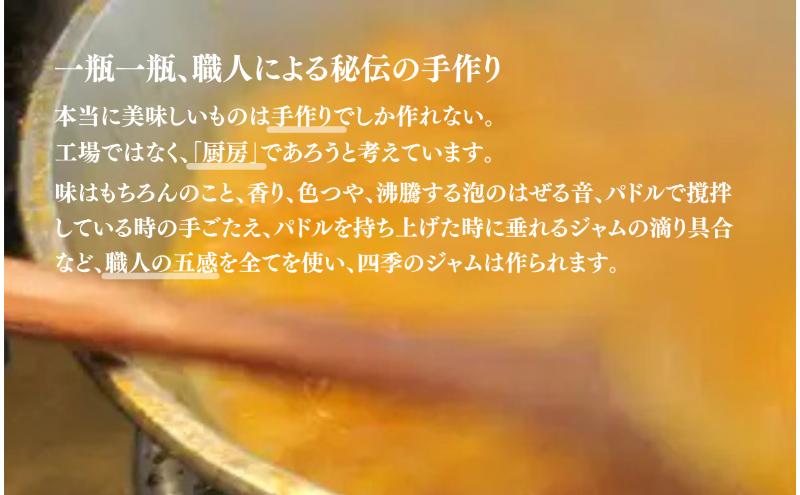 ナイヤガラ（M）4個セット ジャム 手作り セット ぶどう 果物 朝食 軽食 上田市