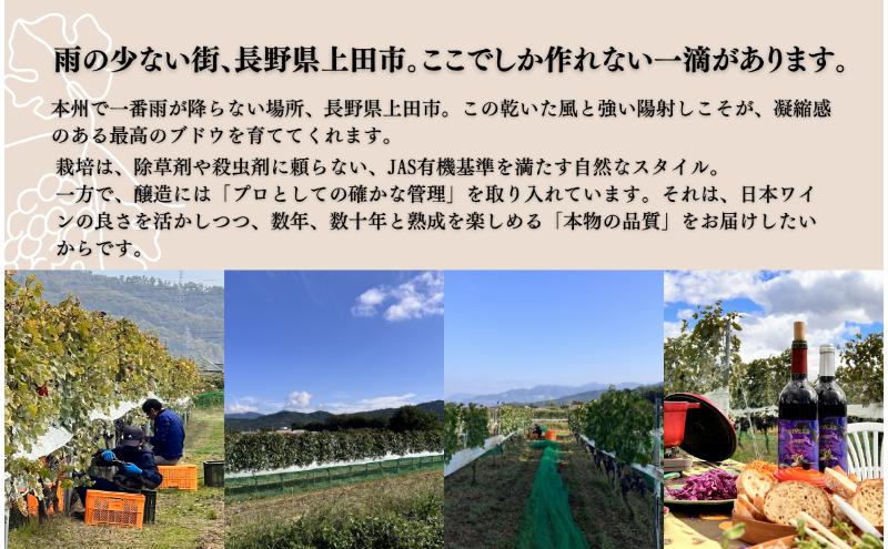 Koaso Refined Mellowness 2023 ワイン 日本ワイン 赤ワイン 赤 上田市