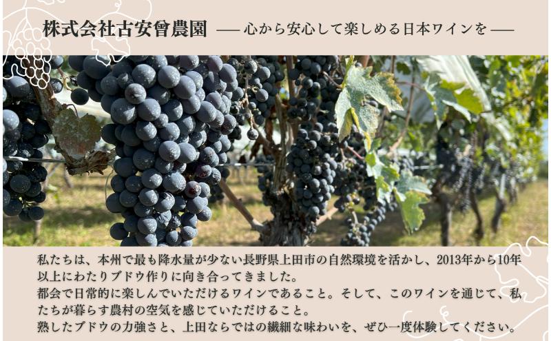 Koaso Refined Mellowness 2023 ワイン 日本ワイン 赤ワイン 赤 上田市