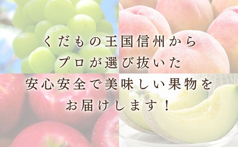 シャインマスカット　1kg 贈答用 信州 フルーツ 果物　ぶどう ブドウ 葡萄 マスカット くだもの  旬の果物 旬のフルーツ 信州産 長野県産 長野 長野県 上田市