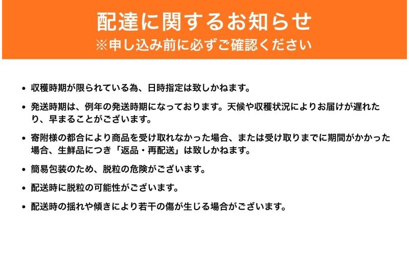 【2026年産】 訳ありシャインマスカット1kg ぶどう 葡萄 ブドウ マスカット 果物 くだもの フルーツ デザート 旬の果物 旬のフルーツ 長野