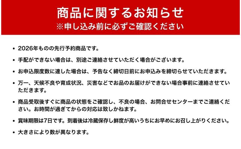 【2026年産】 シャインマスカット 1.2kg ぶどう 葡萄 ブドウ マスカット 果物 くだもの フルーツ デザート 旬の果物 旬のフルーツ 長野