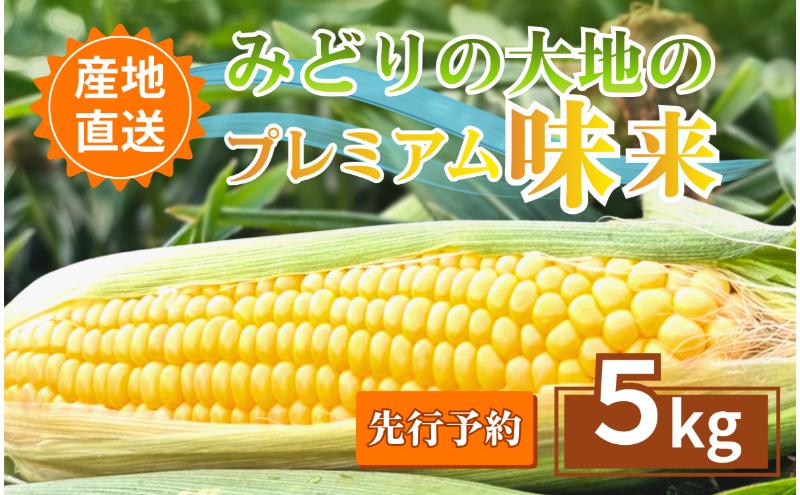 【先行予約】とうもろこし プレミアム味来 みどりの大地 5kg（8～12本入り） 茹でとうもろこし スイートコーン ミラクルコーン 甘いコーン 野菜 長野県 信州 上田