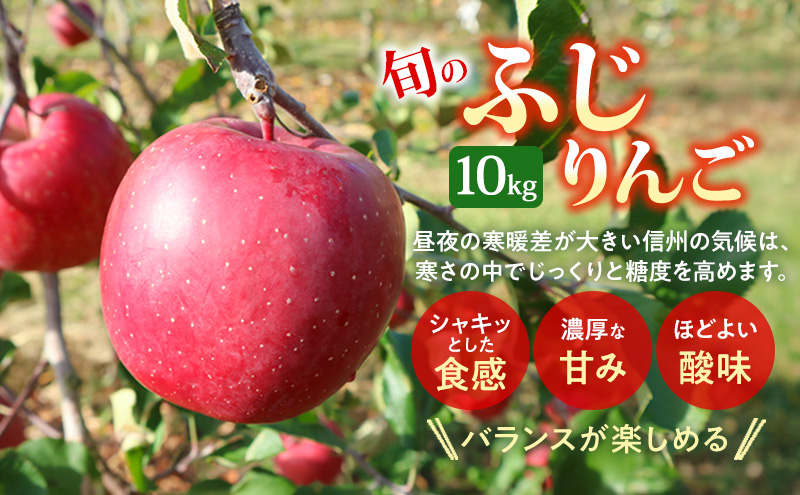 【★先行予約】【訳あり】長野県産りんご（サンふじ）10kg 家庭用 見た目にワケあり 味はそのまま 林檎 果物 旬のフルーツ 長野県 上田 信州