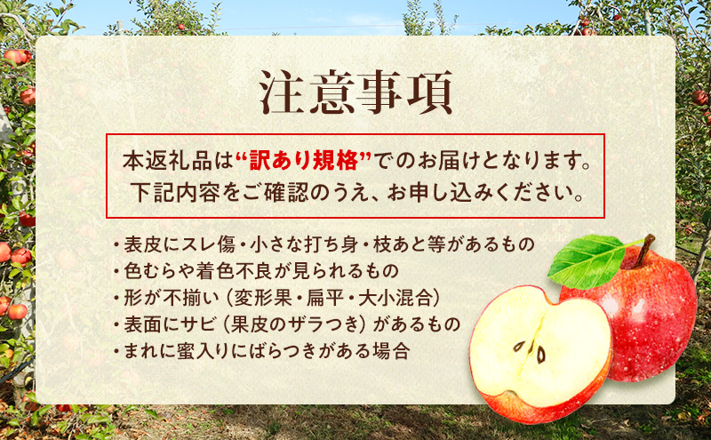 【★先行予約】【訳あり】長野県産りんご（サンふじ）5kg 家庭用 見た目にワケあり 味はそのまま 林檎 果物 長野県 上田 信州