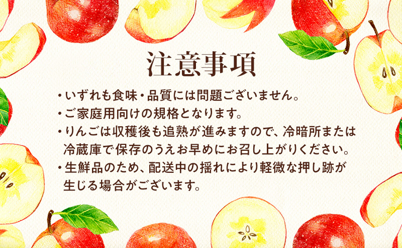 【★先行予約】【訳あり】長野県産りんご（サンふじ）10kg 家庭用 見た目にワケあり 味はそのまま 林檎 果物 旬のフルーツ 長野県 上田 信州