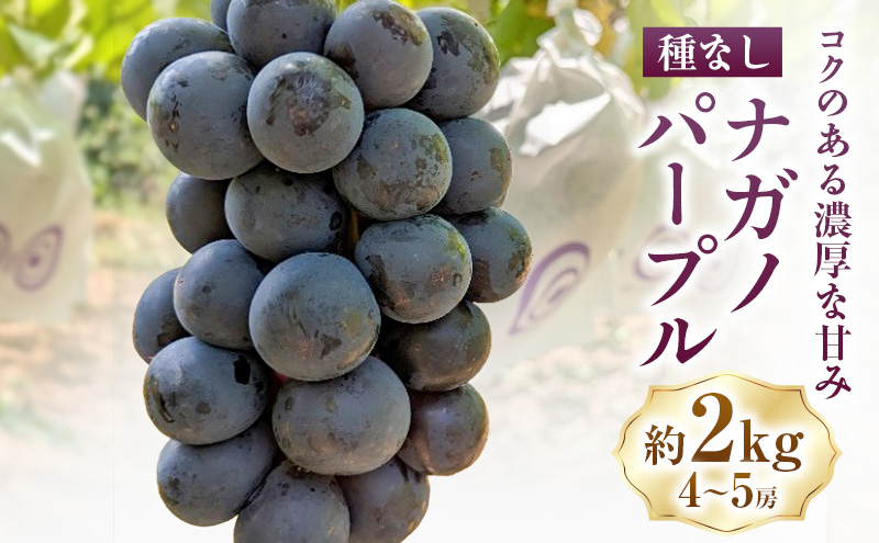 ナガノパープル約2kg(4～5房) ぶどう 葡萄 種なし 果物 上田市