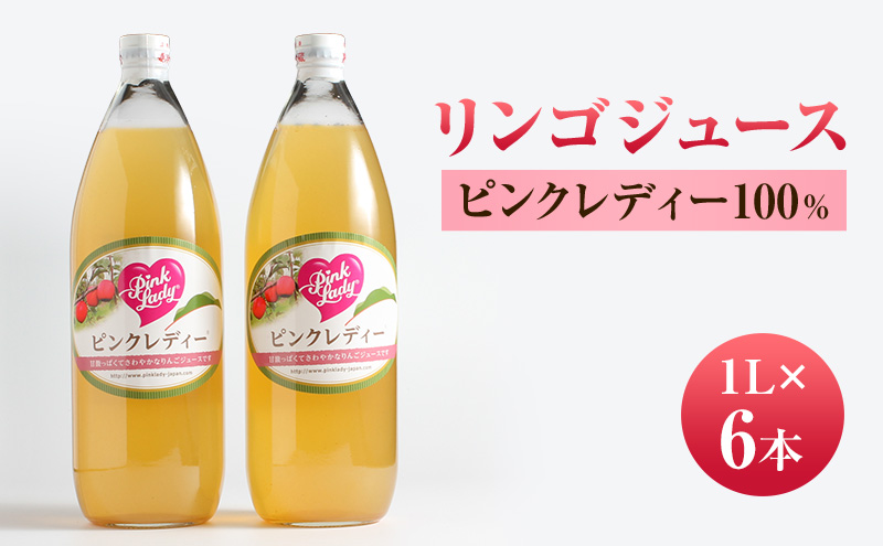 リンゴジュース１L×6本 ピンクレディー100％ りんご フルーツジュース 長野県