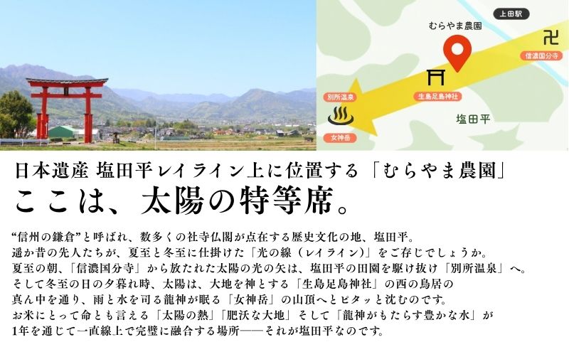 こしひかり 5kg 米 塩田平の「晴米」 コシヒカリ こしひかり 精米