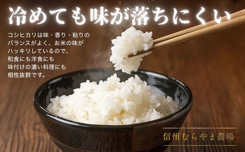 こしひかり 5kg 米 塩田平の「晴米」 コシヒカリ こしひかり 精米