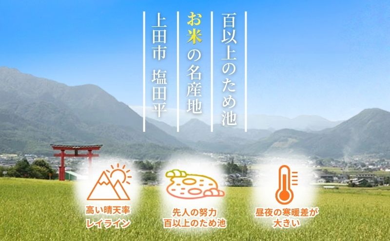 こしひかり 5kg 米 塩田平の「晴米」 コシヒカリ こしひかり 精米