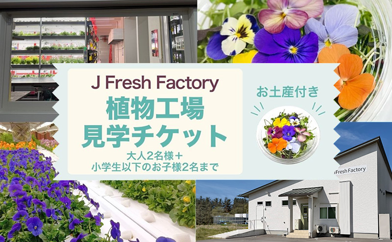 自動車部品メーカーが作った植物工場！エディブルフラワーの収穫体験付き工場見学（大人2名＋小学生以下2名まで）栽培期間中無農薬で育てたリーフ＆エディブルフラワーサラダカップのお土産付き 食用花 お花 サラダ 工場見学 体験 チケット