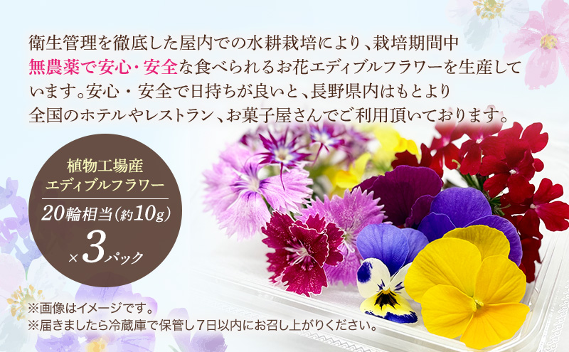 栽培期間中無農薬で安心！屋内水耕栽培で彩り豊かなエディブルフラワーを季節を問わずお届けします！品種おまかせ　20輪相当×３パック 食用花 お花 料理 お菓子 デザート