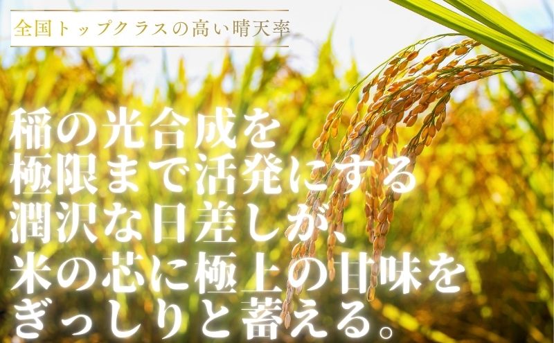 こしひかり 3kg 米 塩田平の「晴米」 コシヒカリ こしひかり 精米