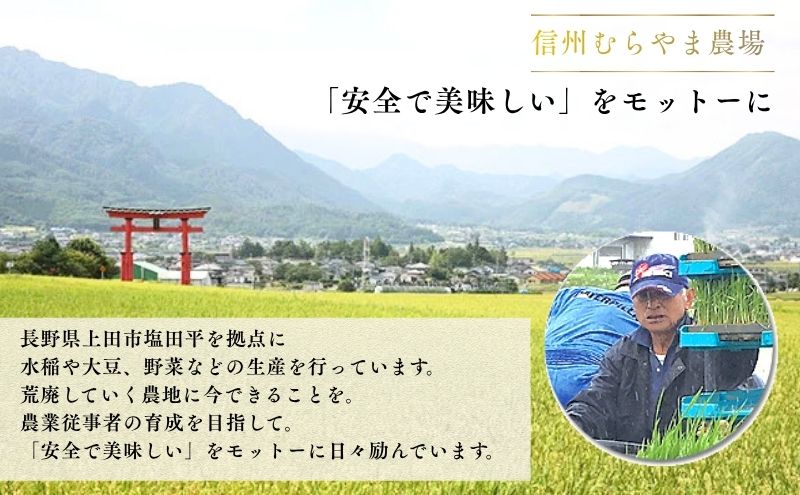 こしひかり 3kg 米 塩田平の「晴米」 コシヒカリ こしひかり 精米