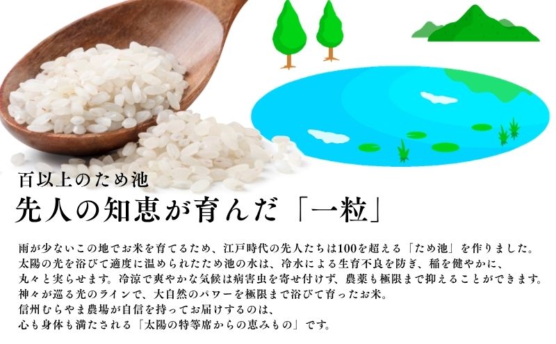 縺薙@縺イ縺九j 5kg 邀ウ 蝪ゥ逕ー蟷ウ縺ョ縲梧匐邀ウ縲 繧ウ繧キ繝偵き繝ェ 縺薙@縺イ縺九j 邊セ邀ウ