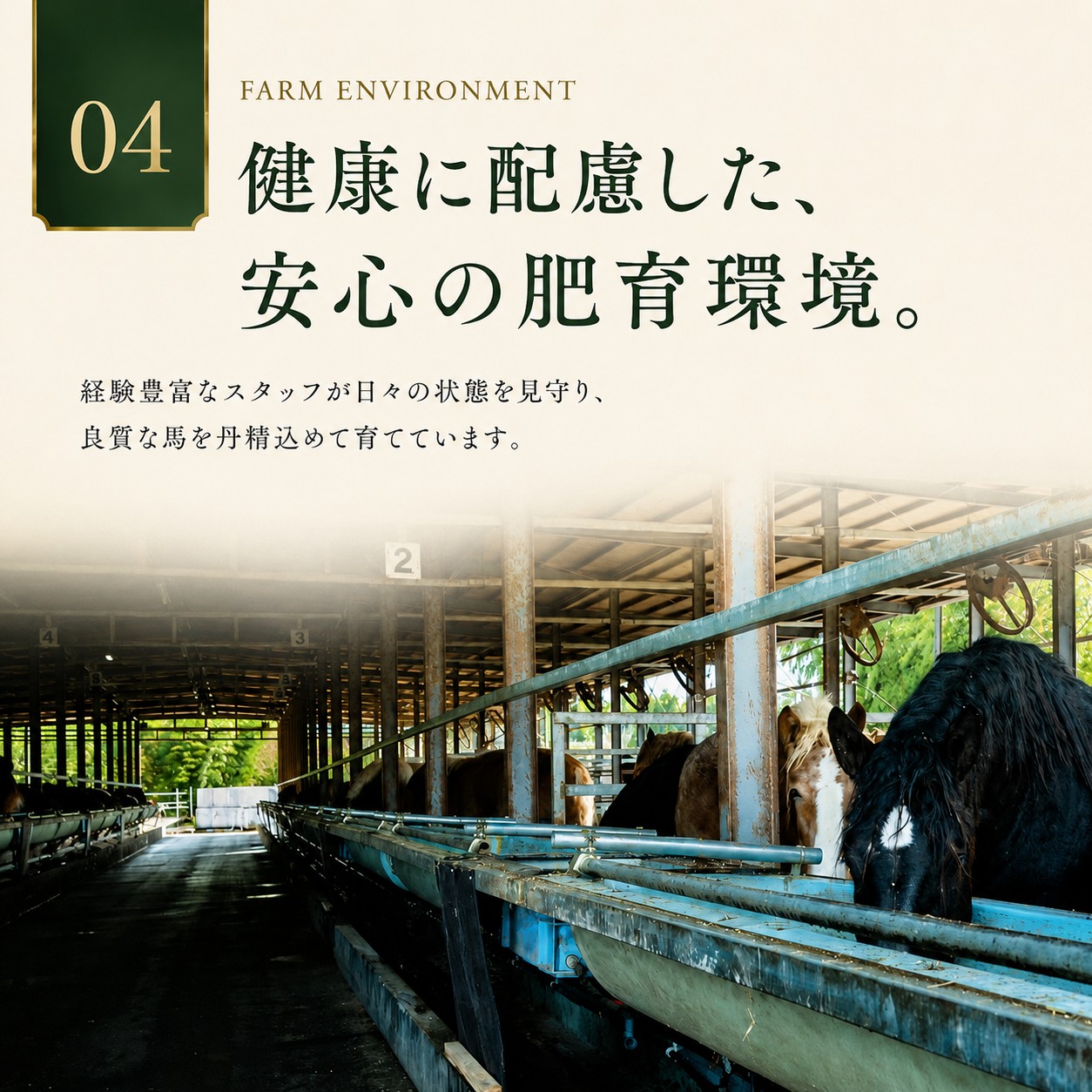 銬åºã 赀身 1000gïŒ100gÃ10pïŒ éŠ¬åºãã®é·éå± | 銬åºã 赀身 ããŒã¹ ã¿ã¬ä»ã 鮮銬åºã 銬åºã éŠ¬åº é·é ä¿¡å· éŠ¬è ãè åºèº« å·å ç空ãã㯠å°åã éæ ç¡æ äŒé£ ä¿¡å·ã017-31ã