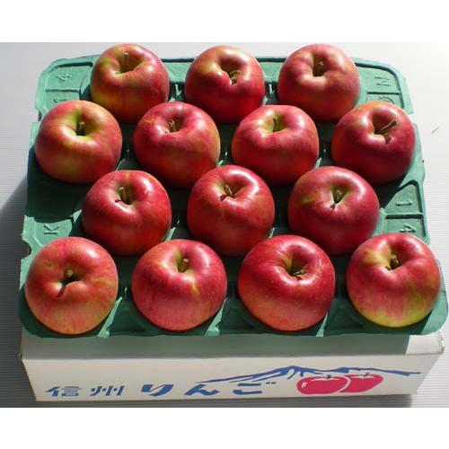 先行受付 令和8年産 有機肥料栽培 りんご ふじ 約5kg｜伊那 りんご ふじ フルーツ 果物 甘い 農園 林檎 ふるさと納税 長野県【011-05】