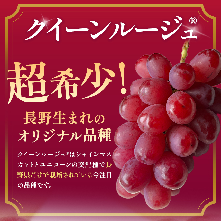 ä¿¡å·äŒé£ç£ã¶ã©ããã¯ã€ãŒã³ã«ãŒãžã¥(R) (1.5kg以äž)ïœã¶ã©ã è¡è ã¯ã€ãŒã³ã«ãŒãžã¥ çš®ãªã ã¶ã©ãé«çŽ ãã«ãŒã ã®ãã ãã«ãŒã æ¬ã®ãã«ãŒã äŒé£åž é·éçç£ ã020-49ã