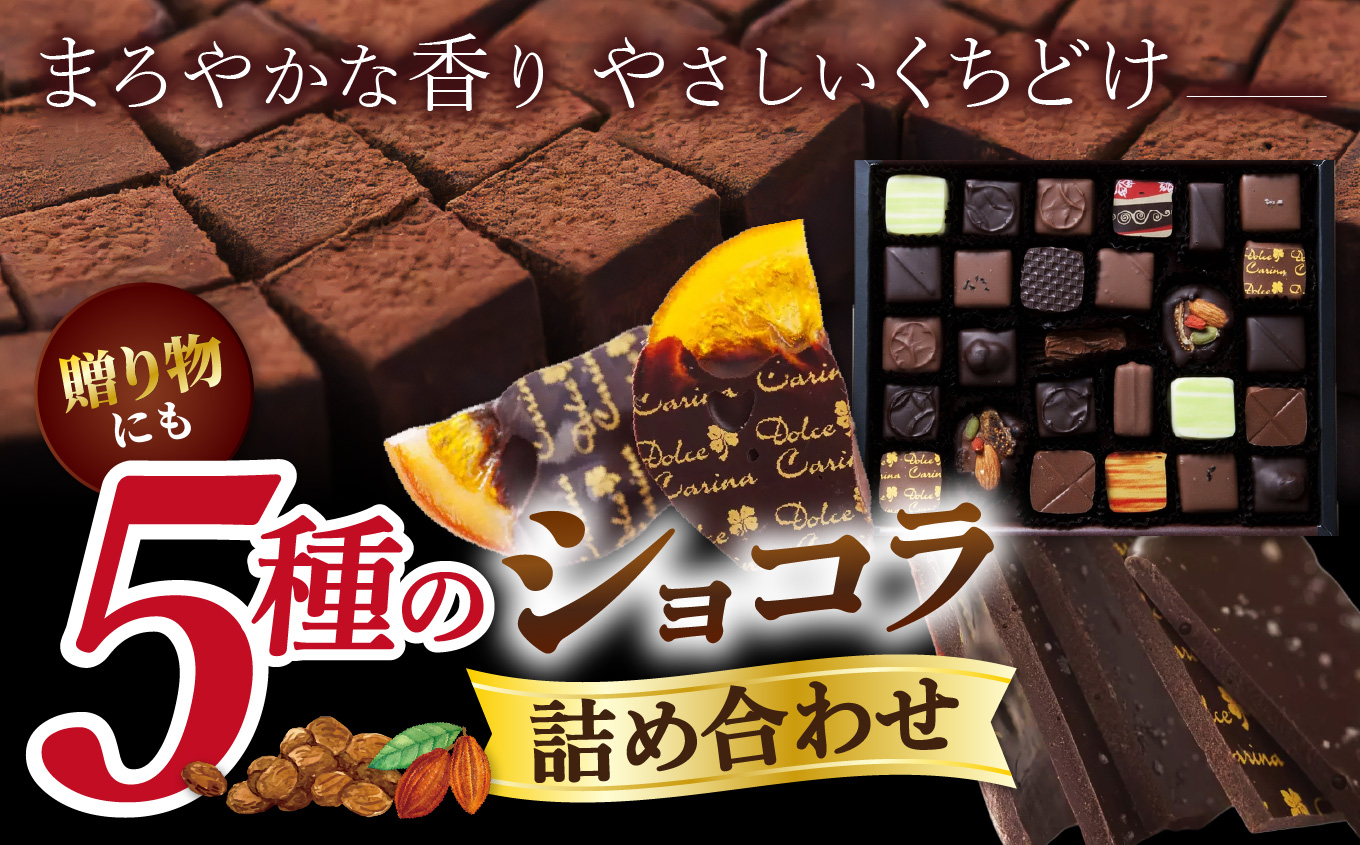 チョコレート ショコラ 詰め合わせ ギフト ガトーショコラ 塩チョコ テラコッタ 板チョコ ボンボンショコラ ｜ スイーツ チョコレート ショコラ ドルチェカリーナ パティシエ 人気 詰め合わせ セット 洋菓子 長野県 伊那市 【016-17】