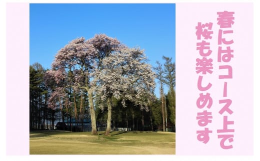 ゴルフ チケット 信州伊那国際ゴルフクラブ ゴルフ場利用補助券 1,000円×9枚 | ゴルフ チケット 補助券 長野 伊那市 信州 長野県 【030-19】