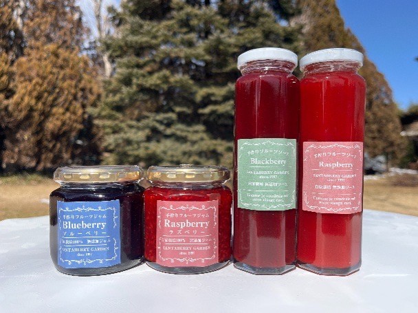 ジャム ベリー 信州産 完熟 ベリージャム 200g2種と ベリーソース 200g2種セット | フルーツ ジャム ソース ラズベリー ブルーベリー 完熟 つみたて 加工品 長野県 伊那市 【013-36】