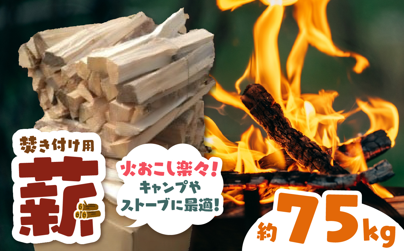 信州伊那谷産　松の薪　（焚き付け用）1箱　4束入り　２５ｋｇ相当×３箱｜松の薪 焚き付け 長野県 伊那市 キャンプ BBQ アウトドア【024-14】