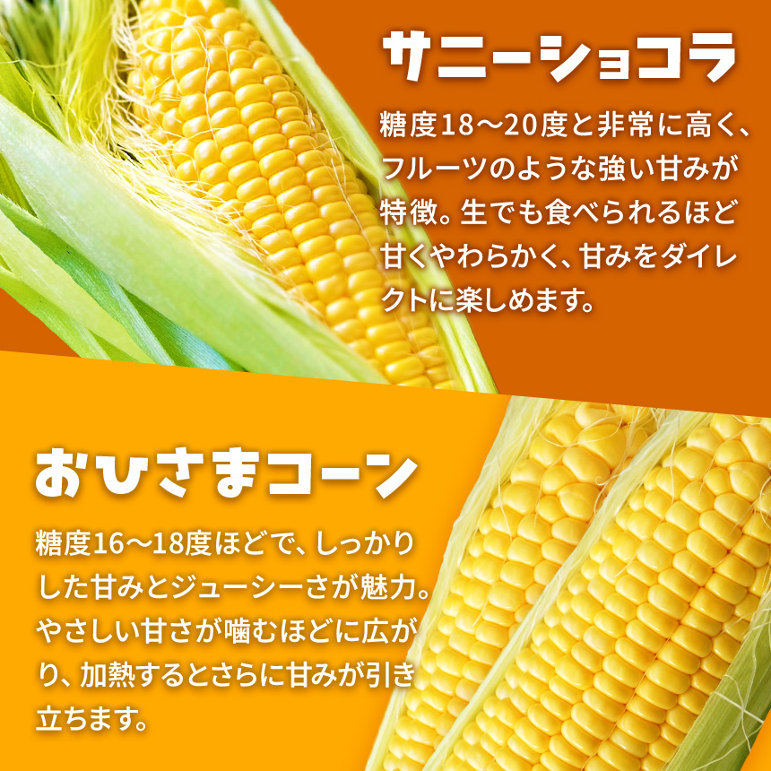 とうもろこし 伊那市産 スイートコーン 約5kg 2Lサイズ 12本入り ゴールドラッシュ 【013-53】