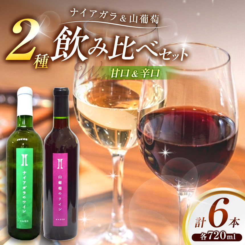 ワイン 伊那ワイン工房 ワイン 6本 セット（ ナイアガラ と 山葡萄 のワイン）｜ワイン 赤ワイン 白ワイン 辛口ワイン 甘口ワイン お酒 アルコール 飲料 信州 飲み比べ 長野県 伊那 信州【041-05】