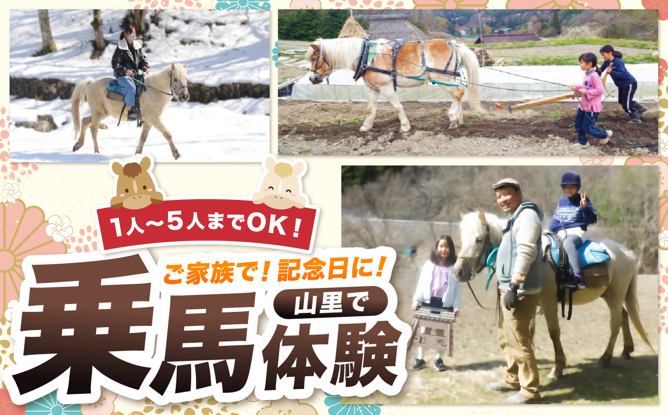 里山で乗馬体験（馬のブラシがけと乗馬でむらをお散歩）1人から5人まで可能【055-12】｜馬 乗馬 乗馬体験 体験 散歩 うま 動物 里山 長野県 伊那市 信州