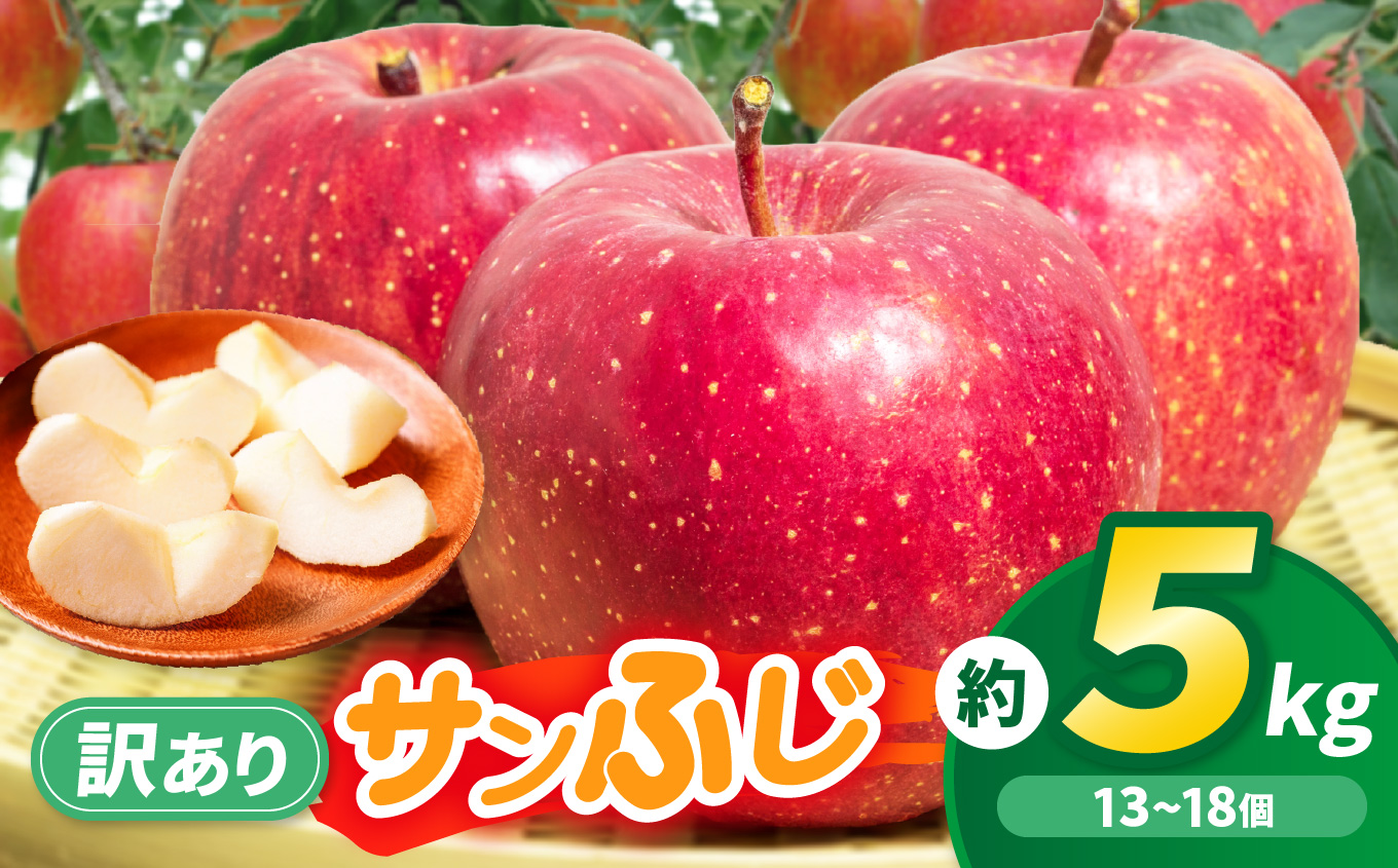 りんご 先行予約 伊那市田原産 リンゴ サンふじ 訳あり 約5kg 2026年11月中旬〜発送｜りんご サンふじ 甘い 訳あり品 美味しい フルーツ 田原 伊那 伊那産 長野県 ふるさと納税【011-a3】