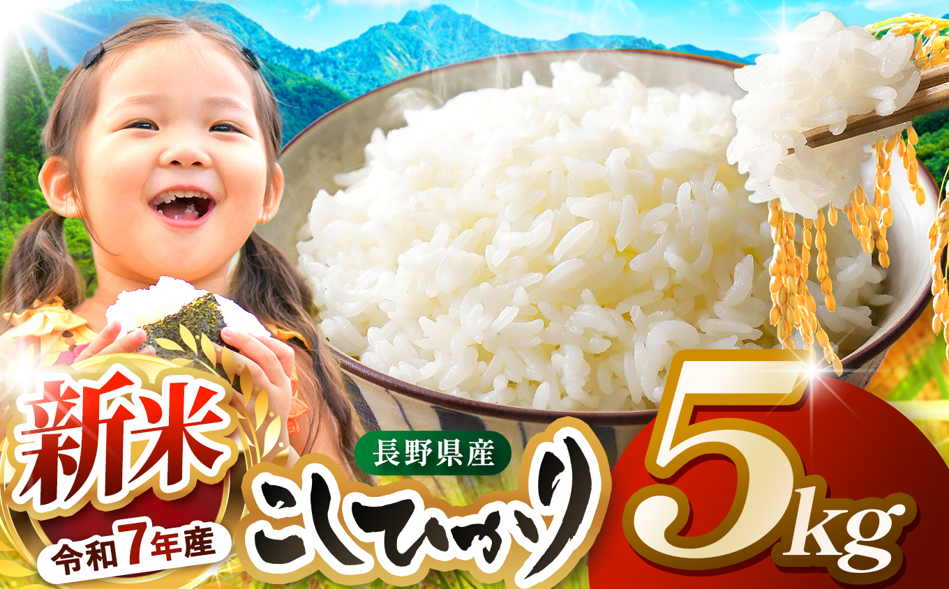 米 5kg  コシヒカリ 令和7年産 JA上伊那 新米 コシヒカリ 今ずり米 5kg  長野 上伊那産 お米 長野県産 こしひかり 5キロ 白米 精米 信州産 特産 産地直送 おすすめ こめ コメ おこめ 送料無料 長野県 伊那市 【017-24】