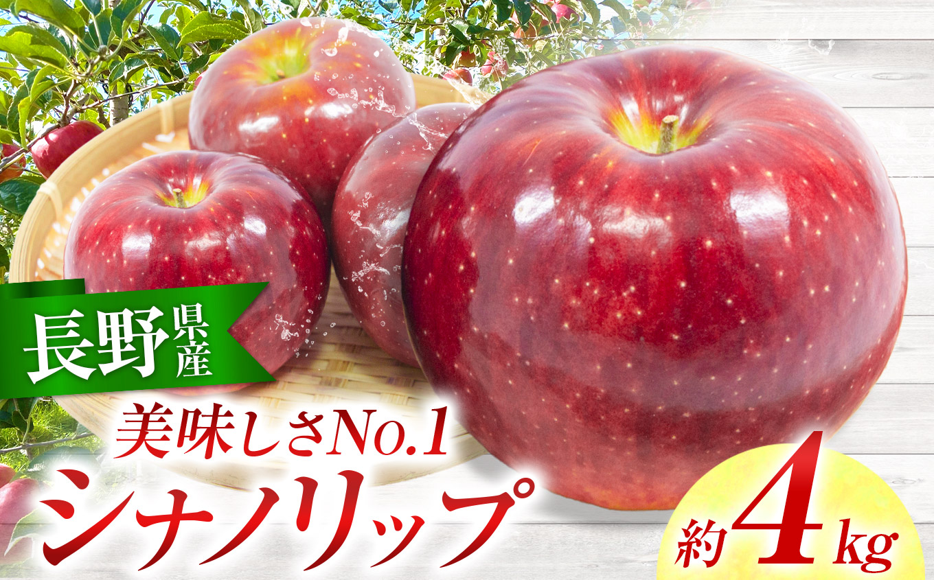りんご シナノリップ 信州産の夏りんご 美味しさNO.1 さわやかな酸味 シナノリップ 約4kg | 果物 フルーツ 林檎 りんご シナノリップ 長野県 オリジナル 品種 伊那市 【012-64】